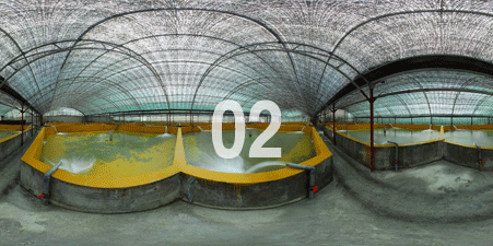 vr2